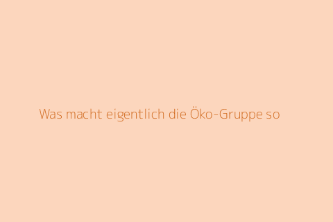 Was macht eigentlich die Öko-Gruppe so?